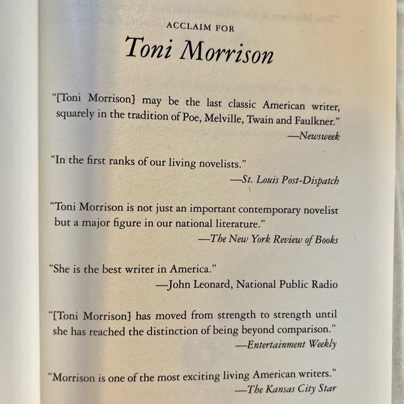 The Bluest Eye by Toni Morrison - Picture 3 of 5